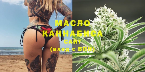 mix Богородицк