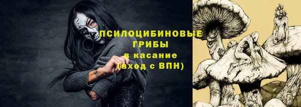 mix Богородицк